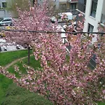 Zurbaran Apartment *